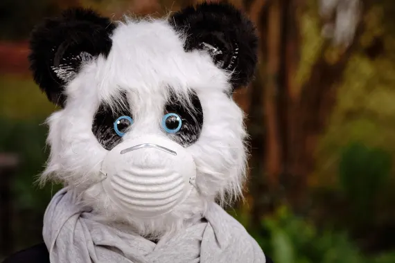 Casino Cabaret Club Ondersteuning